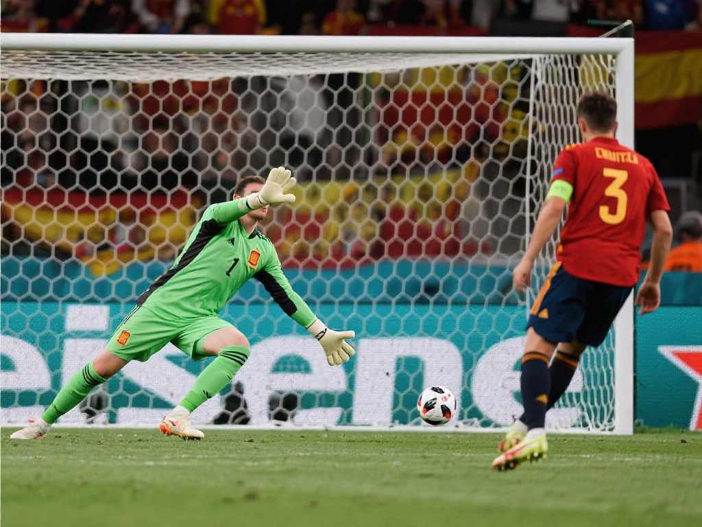 他们会根据 他们会根据